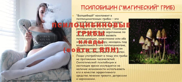 скорость Елизово